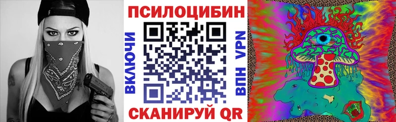 наркотики  Киреевск  нарко площадка официальный сайт  Псилоцибиновые грибы Cubensis 