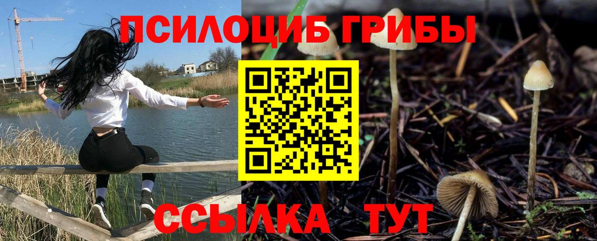 Псилоцибиновые грибы ЛСД Киреевск