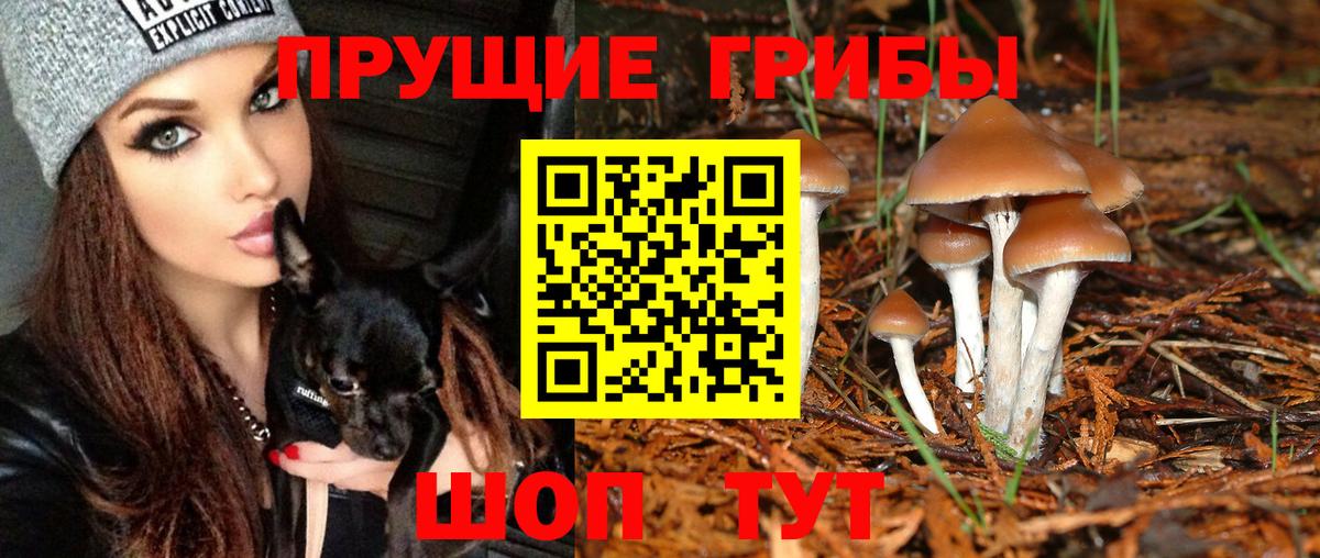 Псилоцибиновые грибы Magic Shrooms  Псилоцибиновые грибы прущие грибы  Киреевск 